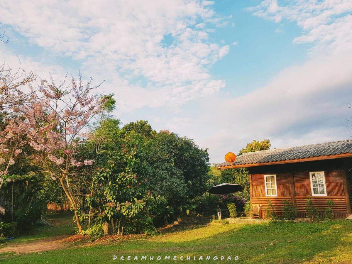 Dreamhome Chiangdao Chiang Dao Eksteriør bilde