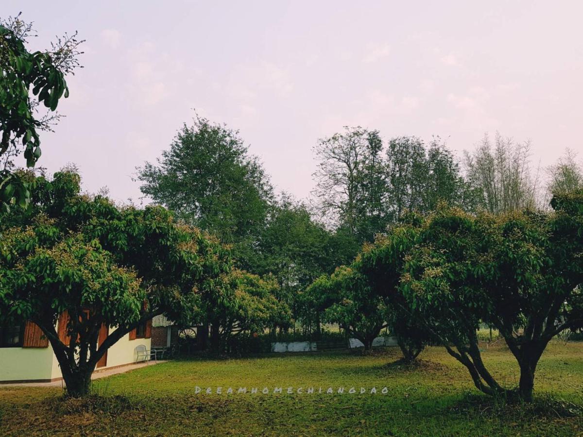 Dreamhome Chiangdao Chiang Dao Eksteriør bilde