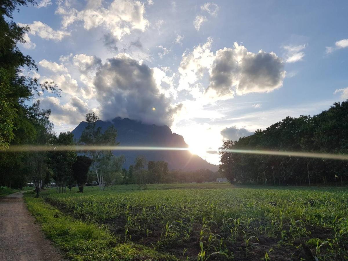 Dreamhome Chiangdao Chiang Dao Eksteriør bilde