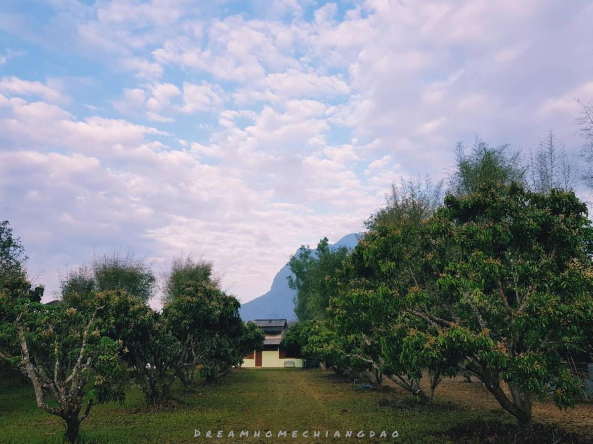 Dreamhome Chiangdao Chiang Dao Eksteriør bilde