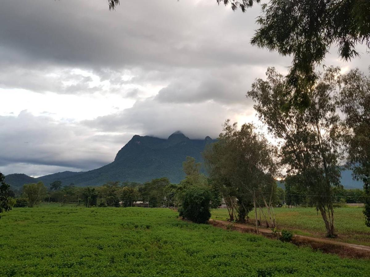 Dreamhome Chiangdao Chiang Dao Eksteriør bilde