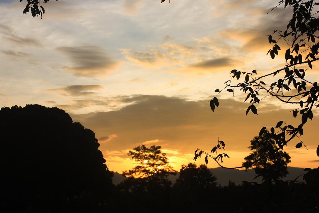 Dreamhome Chiangdao Chiang Dao Eksteriør bilde