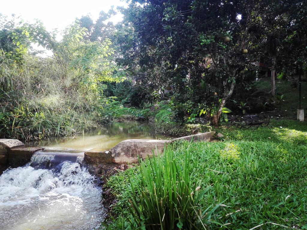 Dreamhome Chiangdao Chiang Dao Eksteriør bilde