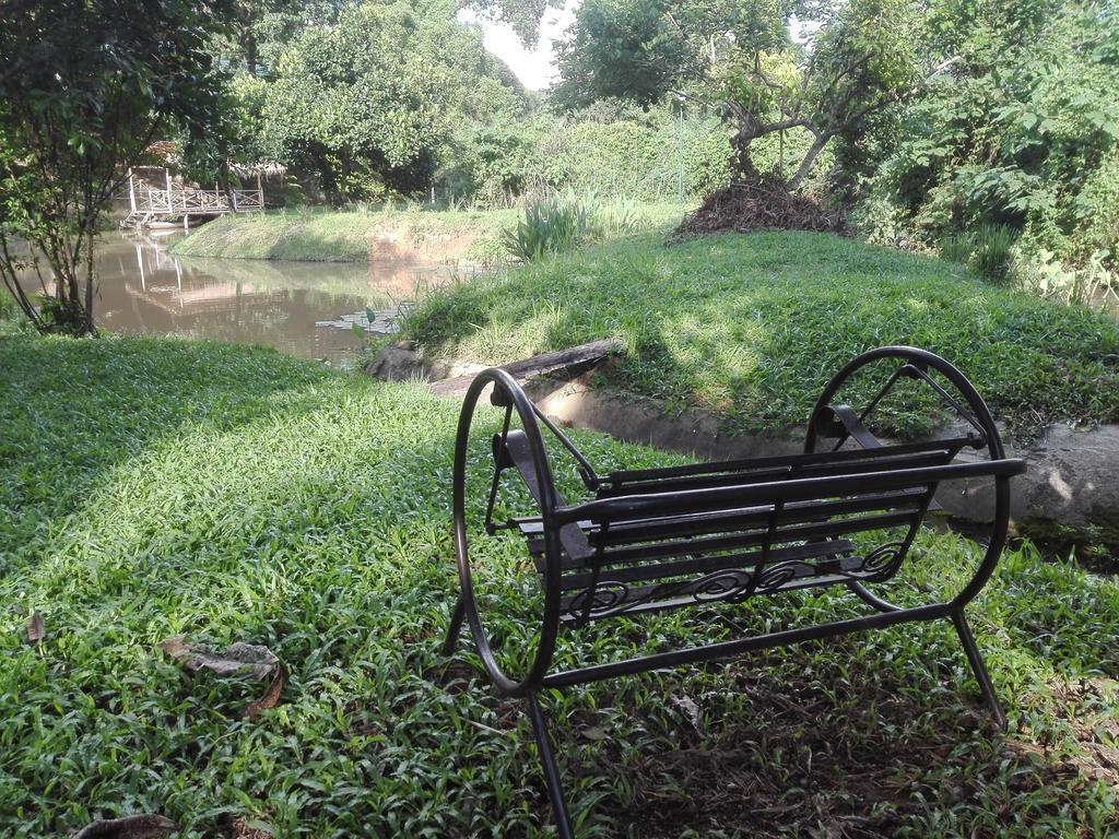 Dreamhome Chiangdao Chiang Dao Eksteriør bilde