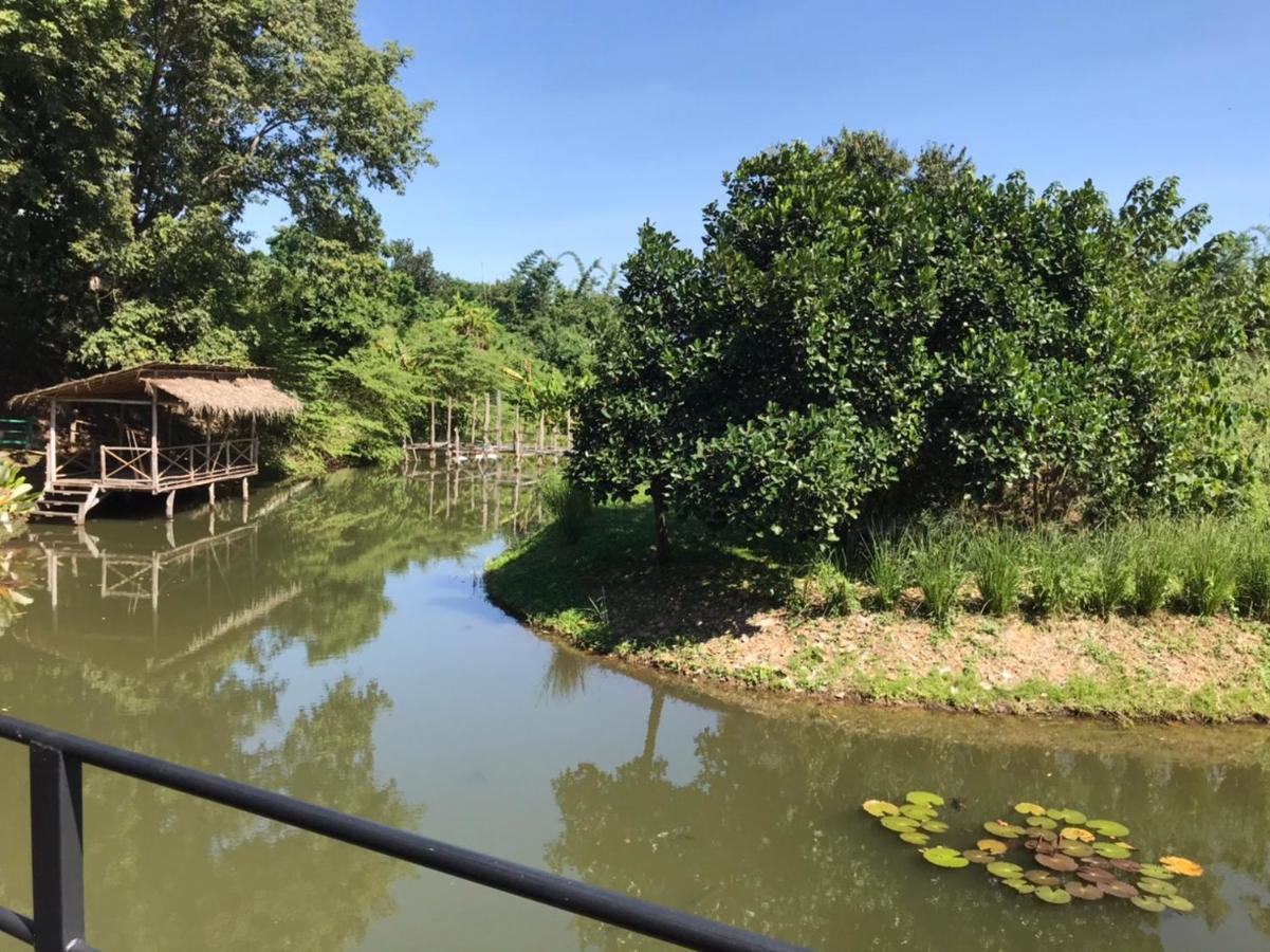 Dreamhome Chiangdao Chiang Dao Eksteriør bilde